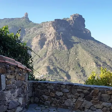 Pepita La De Flores Tejeda (Gran Canaria)