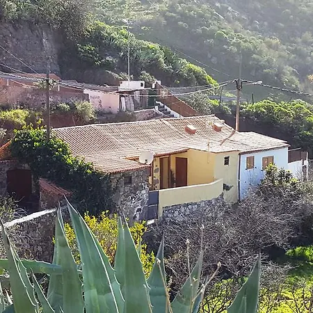 Pepita La De Flores Tejeda (Gran Canaria)