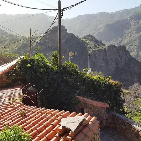 Pepita La De Flores Tejeda (Gran Canaria)