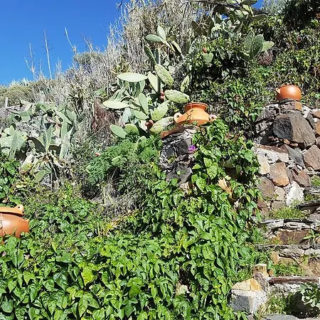 - Laendliches Haus, Pepita La De Flores Gospodarstwo wiejskie *