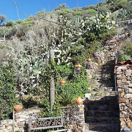 Pepita La De Flores * Tejeda (Gran Canaria)