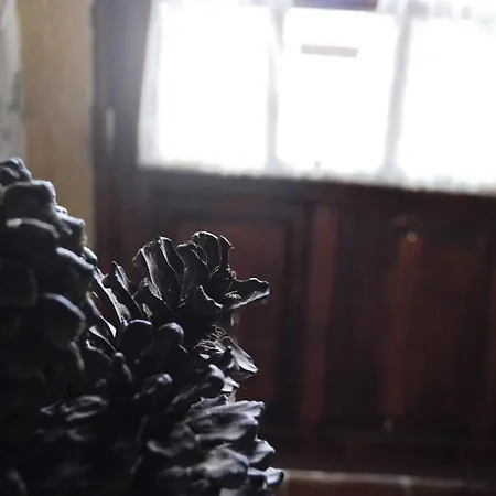 - Laendliches Haus, Pepita La De Flores * Крус-де-Техеда